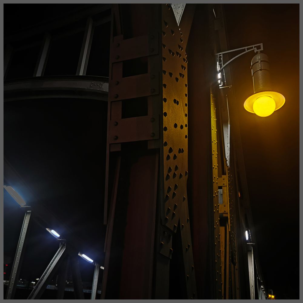 KRYSTIAN SHEK - NEVER COMPLAIN